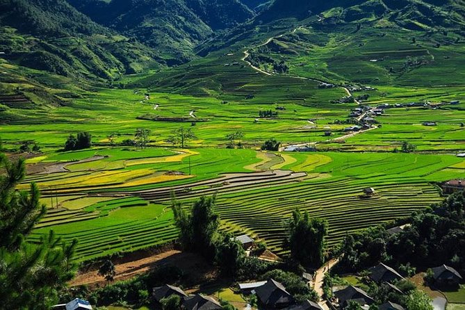 Sapa 3 Days 2 Nights Trekking Tour (1 Night In Ta Van Village, 1 Night In Hotel) - Price and Logistics: Where the Value Comes From