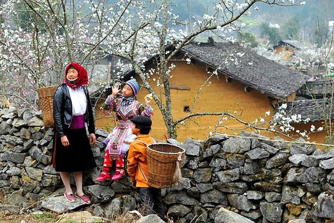 Sapa 3 Days 2 Nights Trekking Tour From Hanoi (2 Nights in Hotel) - Hanoi-to-Sapa logistics: pickup, comfort breaks, and what to expect on the bus