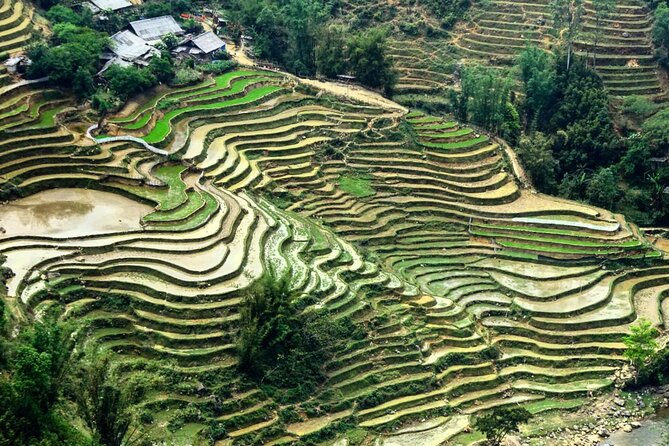 Sapa 3 Days Trek with 2 Nights Homestay - Day 3: Ban Ho loop via Nam Toong and Thank Phu back to Sapa