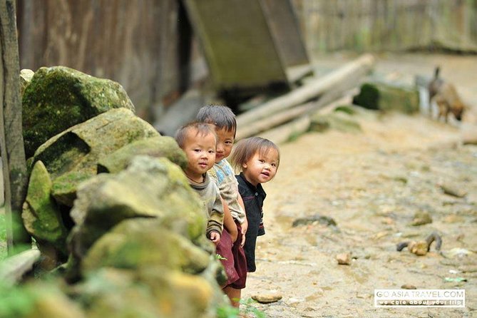 Sapa - Bac Ha Trek Tour - Night Train & Bus & Homestay overnight - From Hanoi to Sapa: overnight train logistics that actually help
