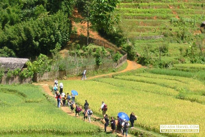 Sapa - Bac Ha Trek Tour - Night Train & Bus & Homestay overnight - Ta Van village overnight: the homestay that shapes the whole trip