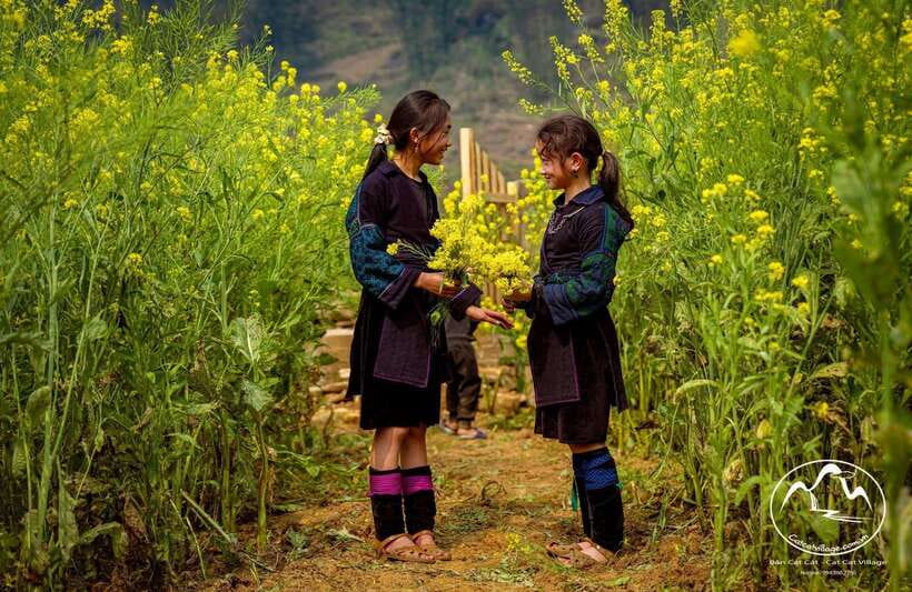 Sapa Cat Cat Village And Y Linh Ho Private Trekking Tour - A Trek That Puts Hmong Life Next to High-Pass Views