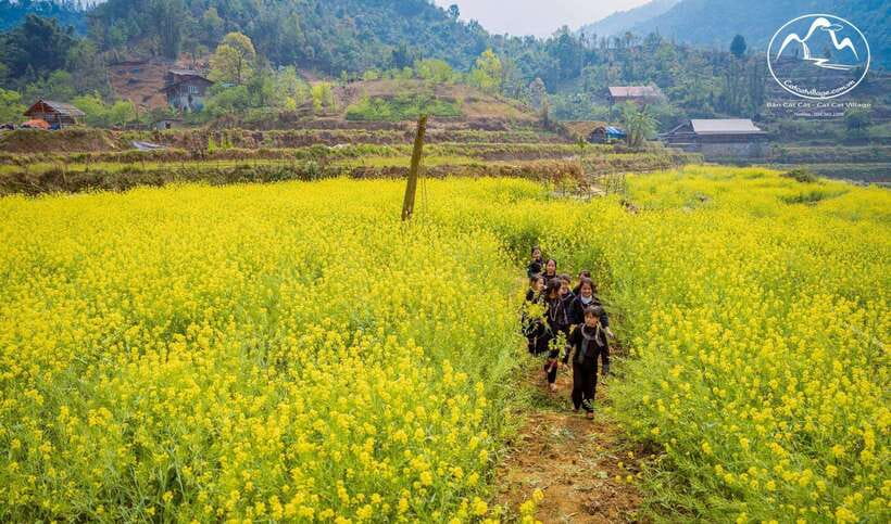 Sapa Cat Cat Village And Y Linh Ho Private Trekking Tour - Guides, Pace, and Why Private Feels Better Here