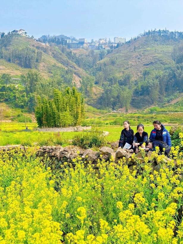 Sapa Cat Cat Village And Y Linh Ho Private Trekking Tour - Weather Reality Check: Hot Sun and Rain Both Happen