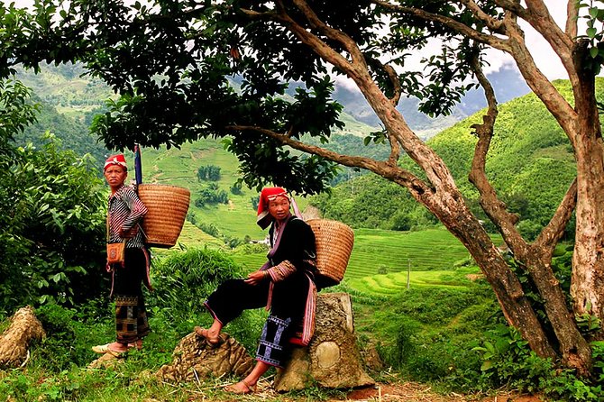 Sapa Easy Trekking Tour 1 Day - Rice Paddies and Cultures - Why This 1-Day Sapa Trek Feels More Personal