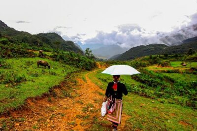 Sapa Easy Trekking Tour 1 Day - Rice Paddies and Cultures - The Route: Cardamom Valleys to Ta Phin
