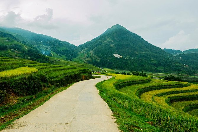 Sapa Easy Trekking Tour 1 Day - Rice Paddies and Cultures - Black Hmong and Red Dao: Two Communities, One Day