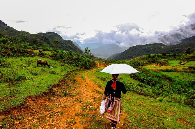 Sapa Easy Trekking Tour 1 Day - Rice Paddies and Cultures - The Route: Cardamom Valleys to Ta Phin