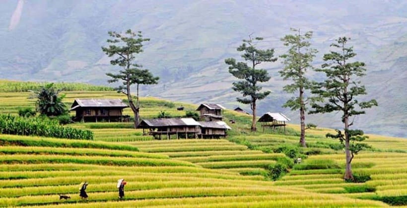 Sapa: Eco Adventure Terrace Fields and Local Villages Trek - First Village Stop: Y Linh Ho (Hmong) And The Scenic Bridge Moment