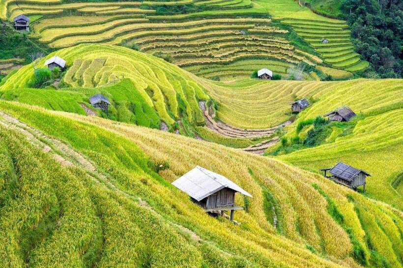 Sapa: Eco Adventure Terrace Fields and Local Villages Trek - Lunch Time At Lao Chai Sang: Home-Cooked Hmong Meals