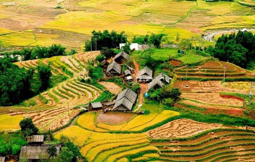 Sapa: Eco Adventure Terrace Fields and Local Villages Trek - Lao Chai Village: Rice Fields, Seasonal Work, And A Clothing-Making Lesson