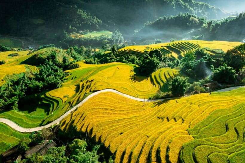 Sapa: Eco Adventure Terrace Fields and Local Villages Trek - Fitness, Footwear, And The Mud Reality Check