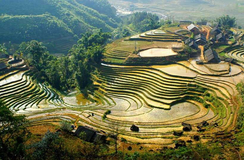 Sapa: Eco Adventure Terrace Fields and Local Villages Trek - Weather, Fog, And When The Views Really Land