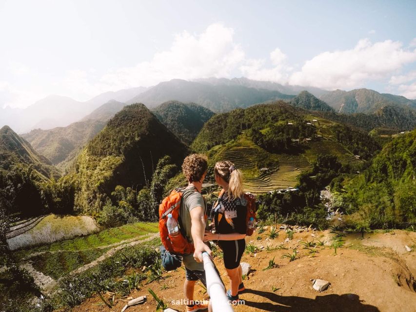 Sapa: Epic 1-Day Trek to Fansipan Mountain Peak - Into the Primary Forest: Pine, Yellow Bamboo, and Real Climbing