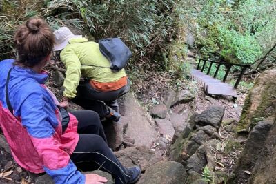 Sapa: Fansipan Trek with Overnight Option (1 to 2 Days) - One-Day Fansipan Trek: the 6-hour climb and what the 30 minutes at the top means
