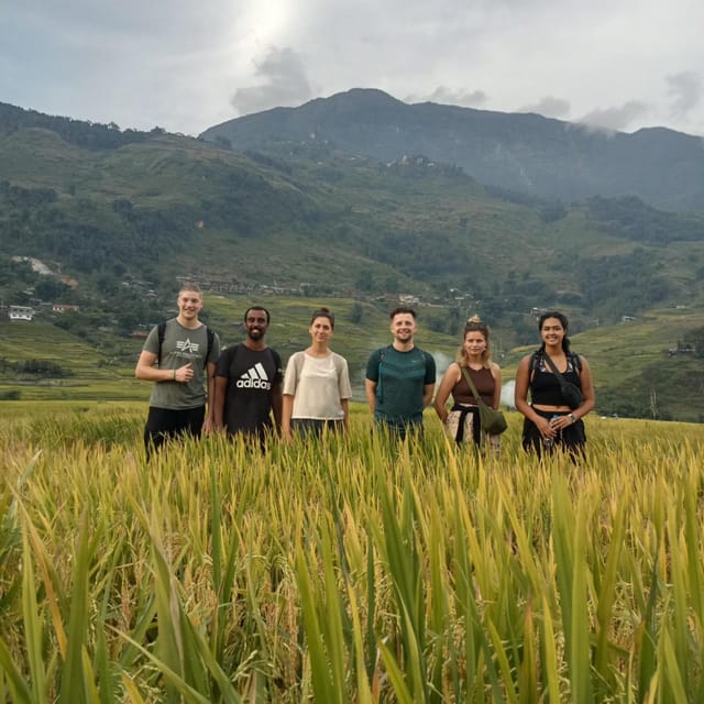 Sapa: Full-Day Trekking Tour to Lao Chai and Ta Van Village - Muong Hoa Stream rice terraces to Lao Chai village