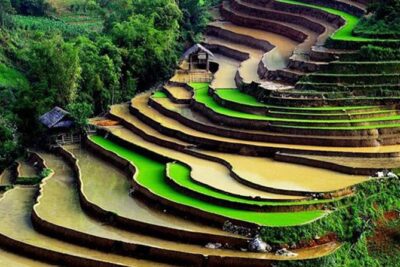 Sapa Hard Trekking by Bus for 2 days - Day Two: Breakfast, Bamboo Forest Trek, and Red Dzao Weaving in Giang Ta Chai