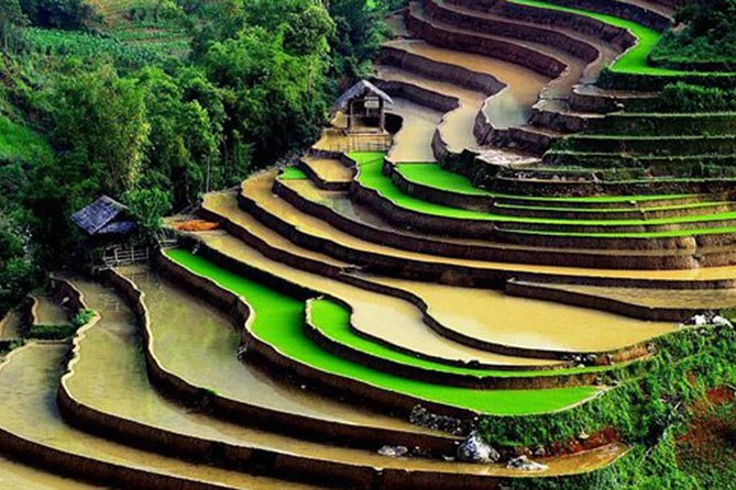Sapa Hard Trekking by Bus for 2 days - Day Two: Breakfast, Bamboo Forest Trek, and Red Dzao Weaving in Giang Ta Chai