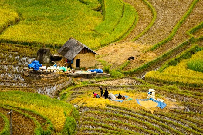 Sapa Hard Trekking villages 2D/1N: Homestay, Meals, English speaking guide - Homestay night: dinner with a Giay family, rooster wake-ups, and shared bathrooms