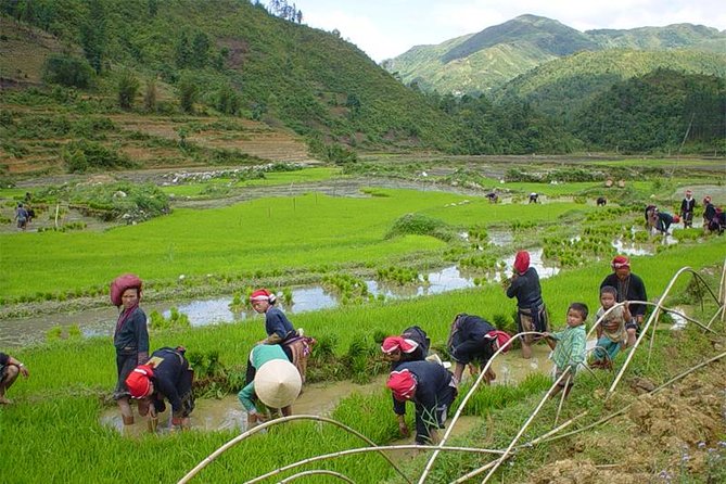 Sapa Hard Trekking villages 2D/1N: Homestay, Meals, English speaking guide - Should you book this hard trek villages 2D/1N?