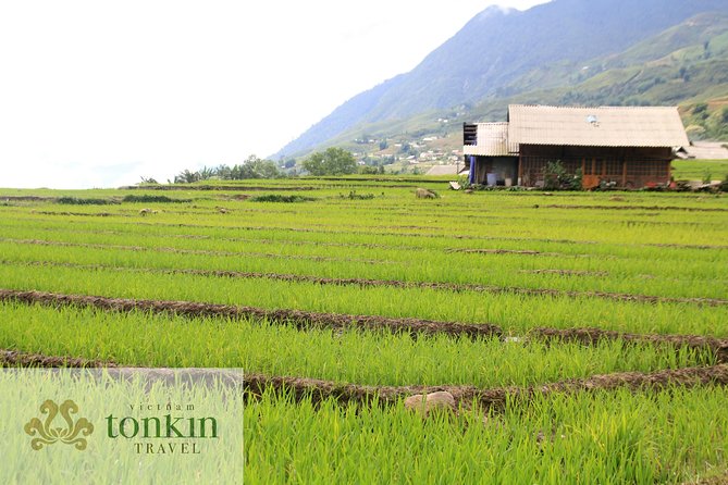 Sapa hard trekking villages homestay 3days/ 2nights tour - amazing culture - Meeting Point and Timing: What to Expect on the First Afternoon