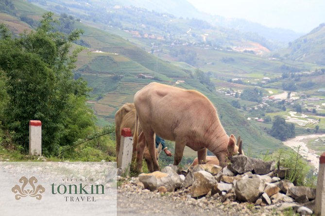 Sapa hard trekking villages homestay 3days/ 2nights tour - amazing culture - Day 3: River Walk to Nam Toong (Red Dao) and a Cooling Stop Near Lavie Waterfall