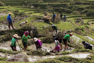 Sapa Hmong Family Trekking Adventures - Day 1: Lao Chai Trail Through Cat Cat to Y Linh Ho