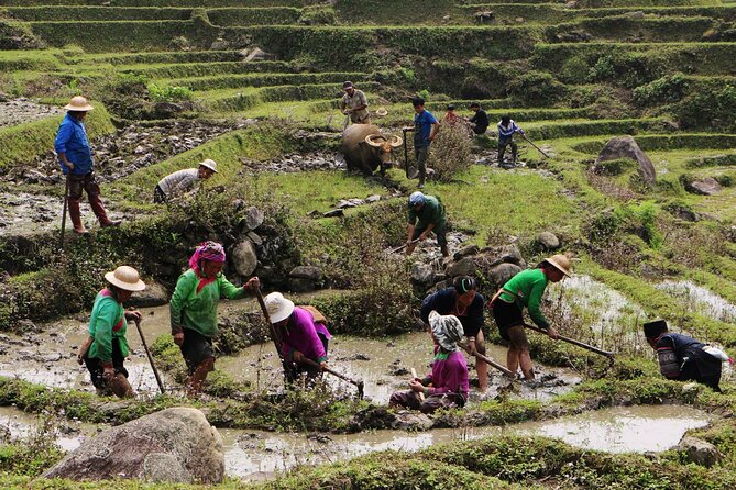 Sapa Hmong Family Trekking Adventures - Day 1: Lao Chai Trail Through Cat Cat to Y Linh Ho