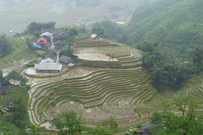 Sapa - Lao Chai -Ta Van full day trekking - Price and Value: When $96.16 Makes Sense for Sapa