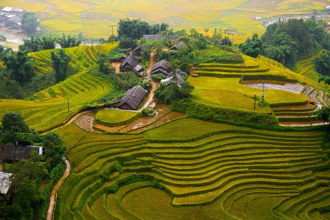 Sapa Local Trekking Adventures - Getting from Sapa Town: pickup, timing, and mobile ticket
