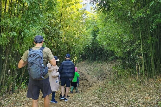 Sapa Mountain Escape: 2-Day Trekking, Rice Terraces & Homestay - After lunch: bamboo forest trails and the route toward your homestay