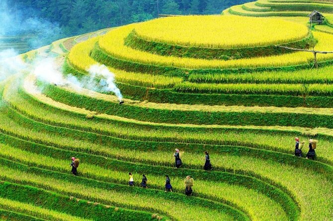 Sapa Muong Hoa Valley & Ta Van Eco Village Scenic Tour (No Trek) - Key highlights to look for