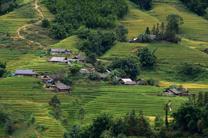 Sapa Muong Hoa Valley & Ta Van Eco Village Scenic Tour (No Trek) - English-speaking local guides make the difference