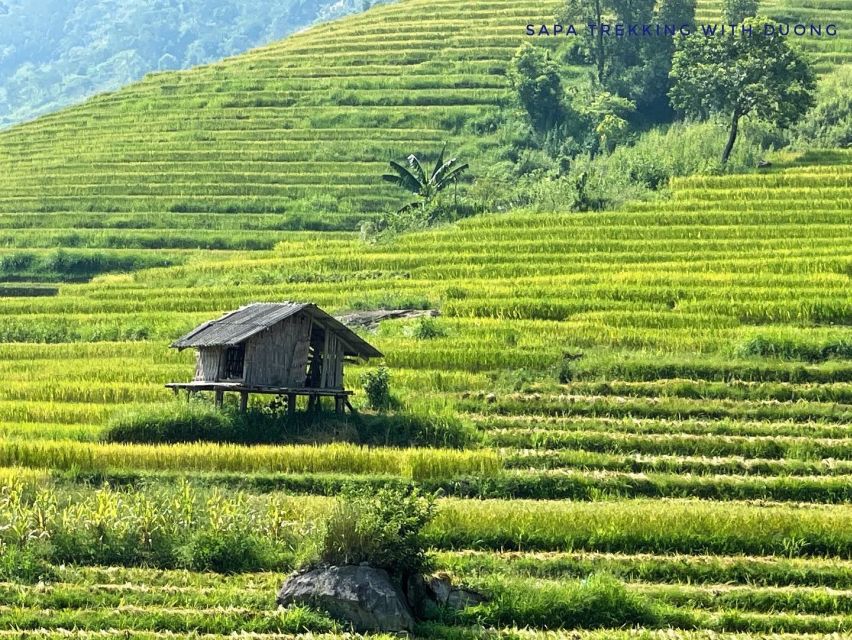 Sapa: Private Muong Hoa Valley and Homestay Trekking 2-Day - Key Things I’d Put On Your Radar