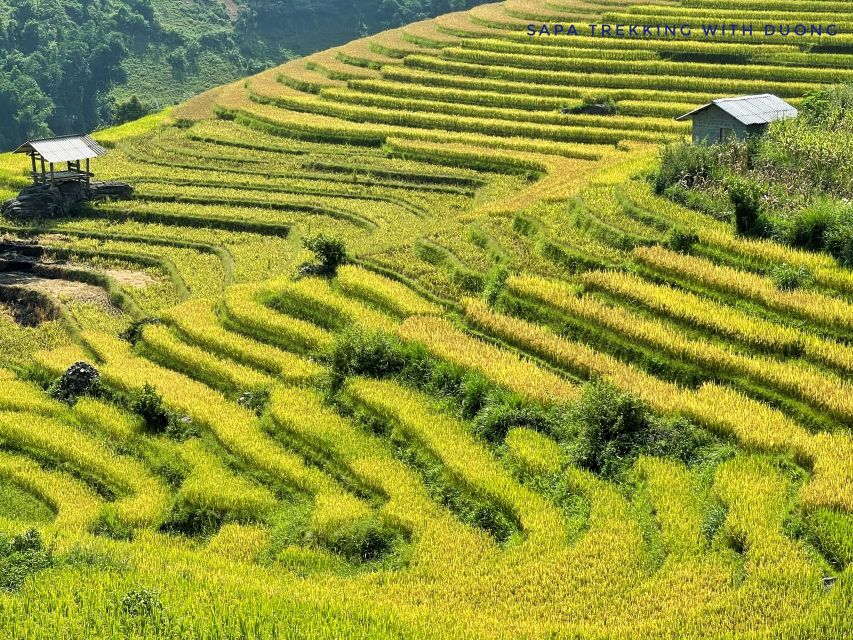 Sapa: Private Muong Hoa Valley and Homestay Trekking 2-Day - Muong Hoa Valley: Rice Terraces With a Real Village Route