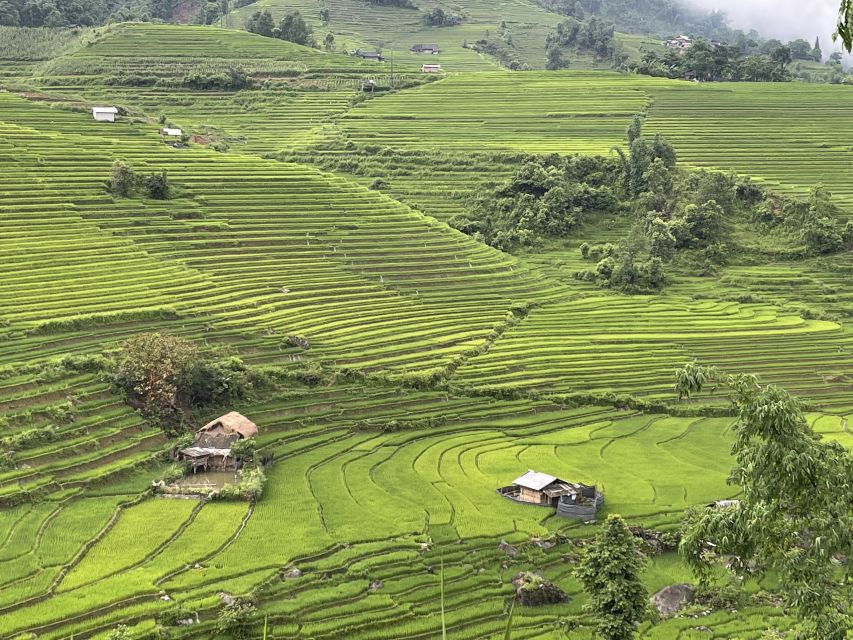 Sapa: Private Muong Hoa Valley and Homestay Trekking 2-Day - Price and Logistics: Is $78 Good Value for Sapa?