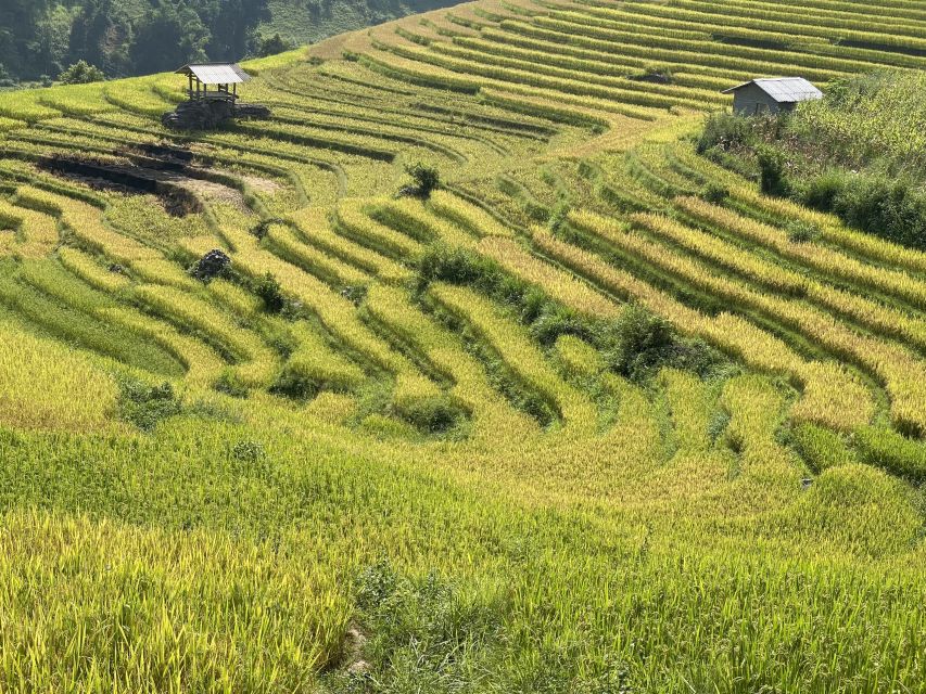 Sapa: Private Muong Hoa Valley and Homestay Trekking 2-Day - Should You Book Sapa: Private Muong Hoa Valley and Homestay Trekking 2-Day?