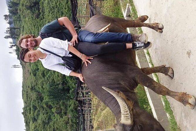 Sapa private: One day of funny Buffalo Ride & Trekking Tour - Ta Phin Village route: school visit, Lu Khau lunch, and cultural time