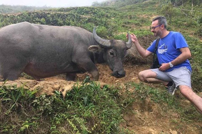 Sapa private: One day of funny Buffalo Ride & Trekking Tour - The buffalo ride: funny, gentle, and very much the point