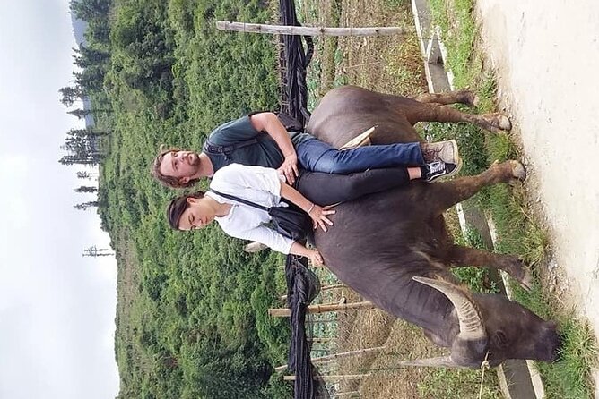 Sapa private: One day of funny Buffalo Ride & Trekking Tour - Guides and the tone of the day: why the right person matters