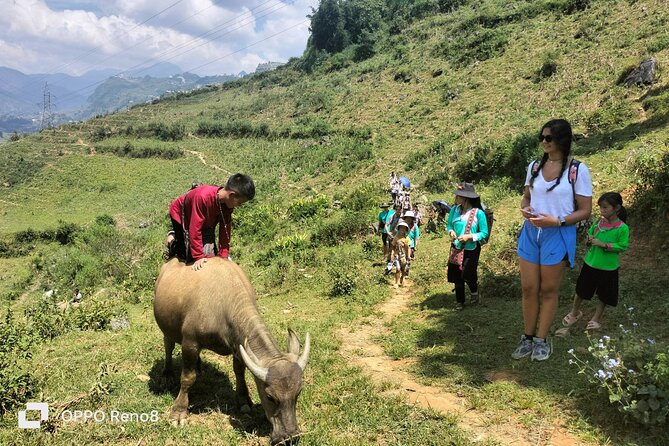 Sapa private: One day of funny Buffalo Ride & Trekking Tour - Who should book this buffalo ride and trekking tour?