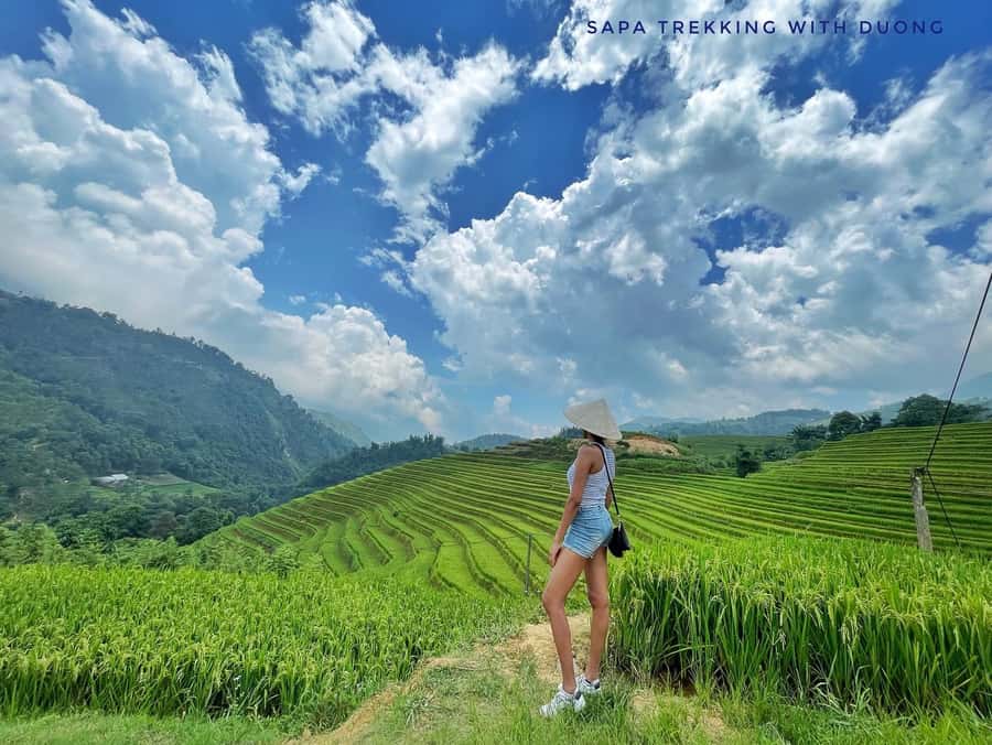 Sapa: Private The Most Beautiful Terraced Fields Trekking - What I like about the route: terraced fields you can walk, not just see