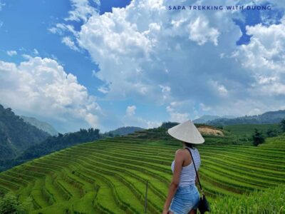 Sapa: Private The Most Beautiful Terraced Fields Trekking - Private pickup from Sapa center: how the day is timed