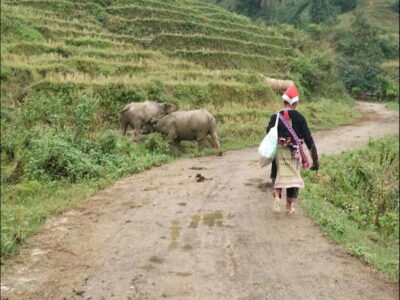 Sapa: Private trek to Muong Hoa Valley - Black Hmong villages: customs you can see in daily routines