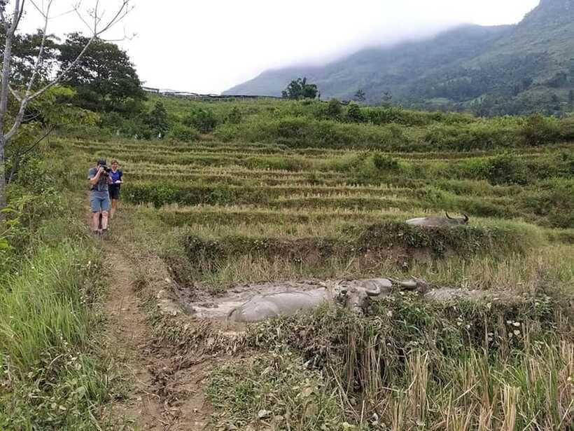 Sapa: Private trek to Muong Hoa Valley - Ta van with the Dzay: craft skills you can actually watch and discuss