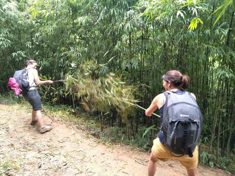 Sapa: Private trek to Muong Hoa Valley - Price and value: what $47 gets you in a real way