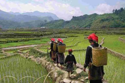 Sapa Private Trekking Through Rice Terraced Fields - 1Day - Entering the Sapa terrace route at Y Linh Ho