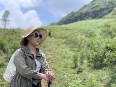 Sapa: Sapa Mountain View And Villages Trek - Ham Rong Mountain views: Sapa town, Fansipan, and the Hoang Lien Son range