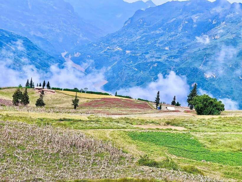 Sapa: Ta Phin Village Trek with Lunch and Bathing Experience - Rice paddy walking to Ma Tra: the lunch stop you actually remember
