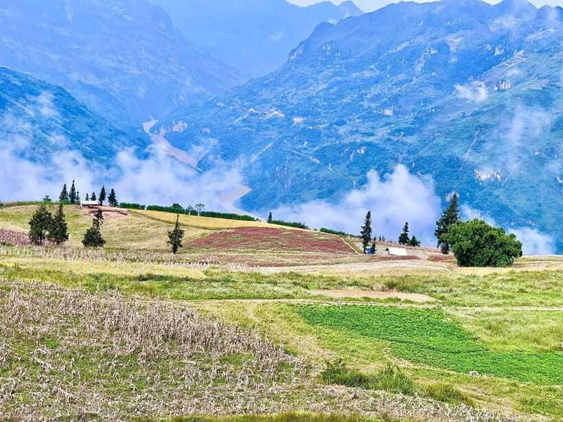 Sapa: Ta Phin Village Trek with Lunch and Bathing Experience - Group size and guide support: English varies, so ask smart questions